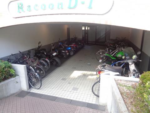 RACOOND1