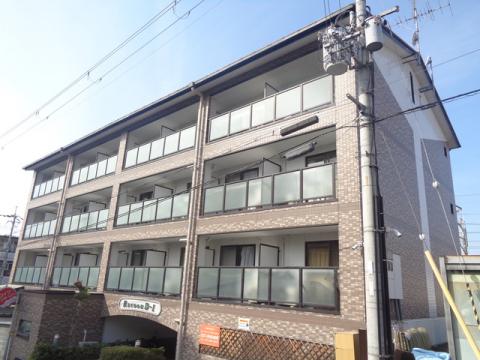 RACOOND1