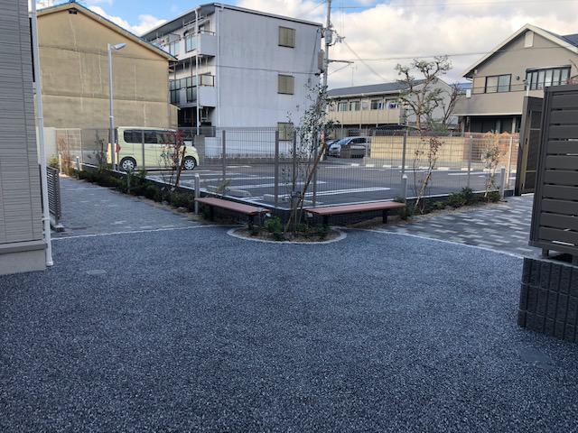 オリーブ 1