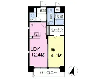 ステラ白山(1LDK/2階)の間取り写真