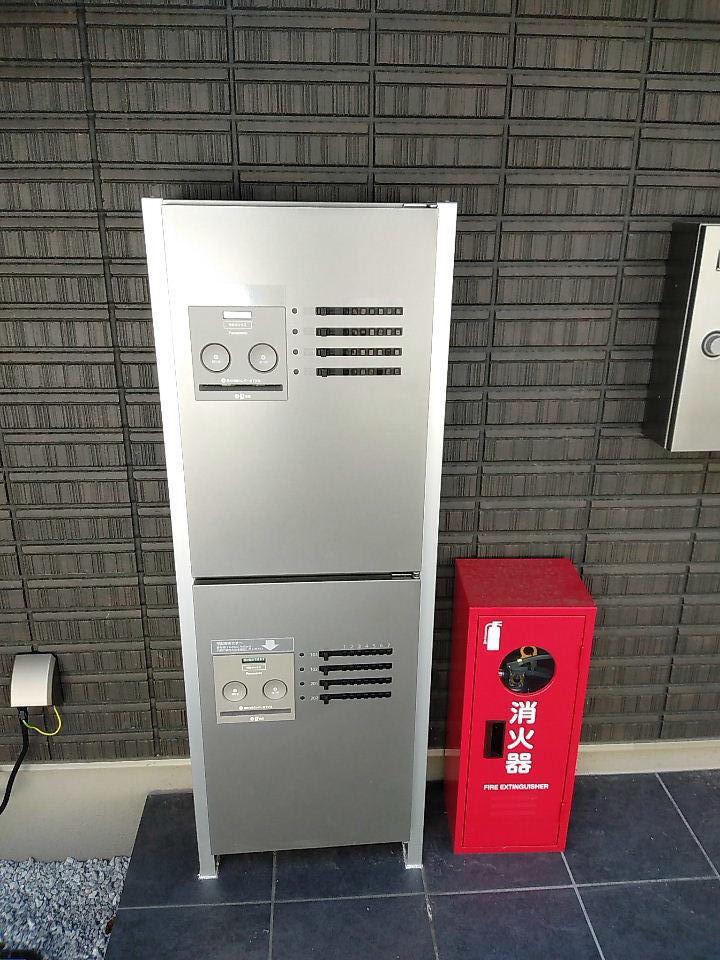アプリコット