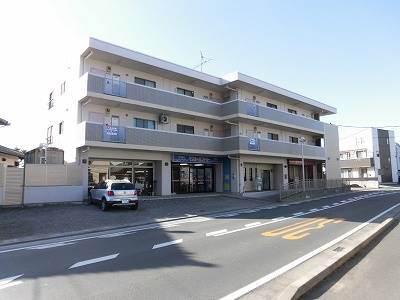 ヒルサイドテラス並木