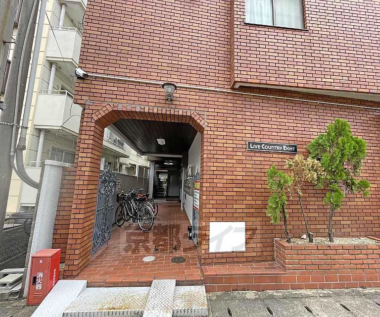 ライブカントリーエイト