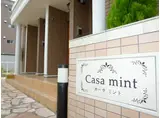 カーサ・ミント