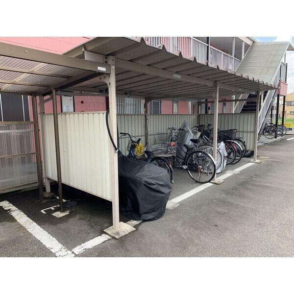 SURPLUS THREE わかば