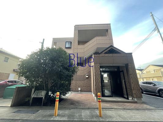ラベンダー湘南