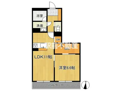 シャーメゾン今宿(1LDK/3階)の間取り写真