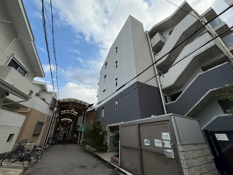 SHIKOKU VIII