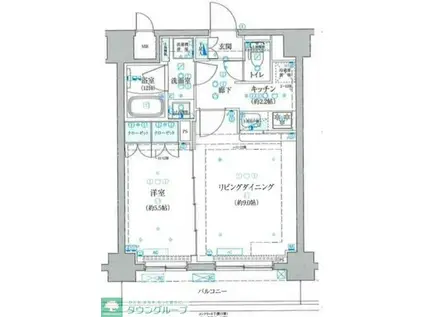 ベルシード梅島 ブランシュ(1LDK/9階)の間取り写真