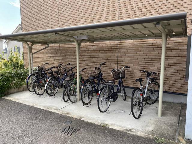 レオネクストミズキ