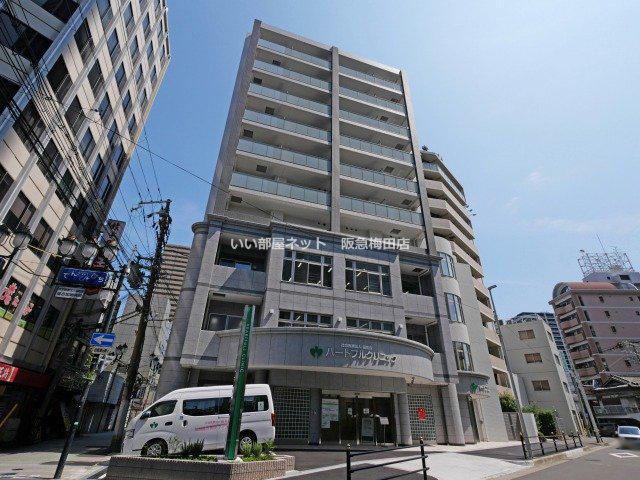 エクレレメディコ天六