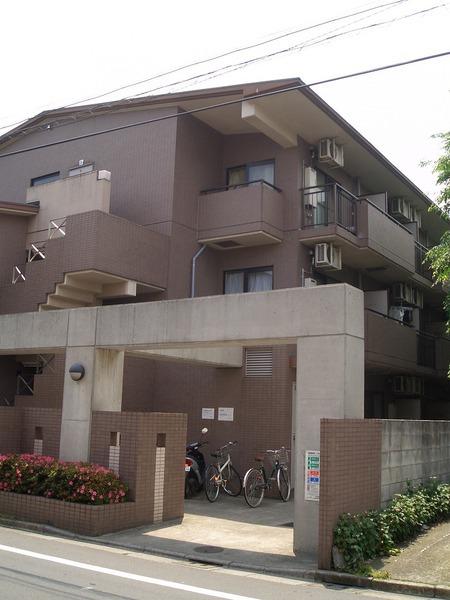 ストーク千川