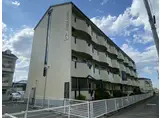 パディーフィールド21