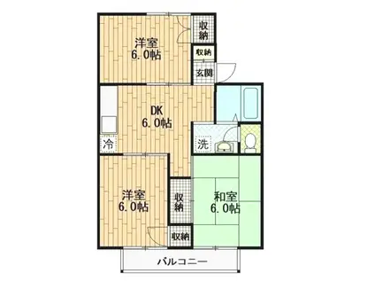 第5二塚ハイツ(3DK/1階)の間取り写真