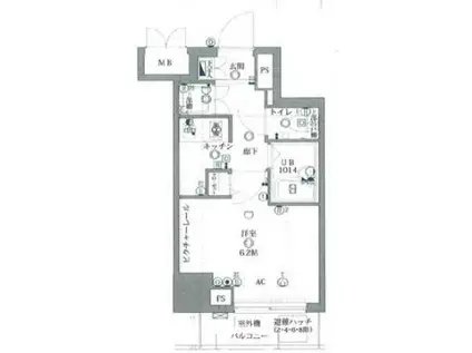 スパシエスタイル住吉(1K/5階)の間取り写真