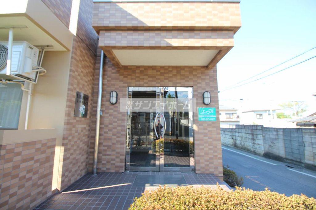 エーデルワイス