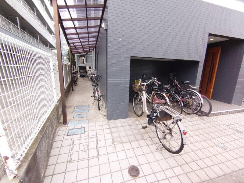SILVALEX TAKENOTSUKA