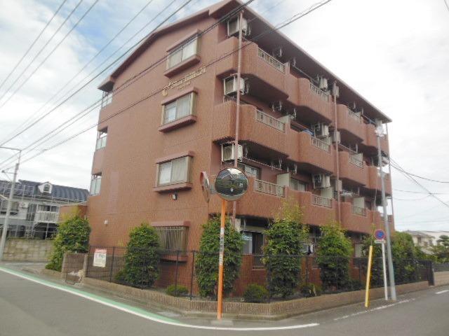 スターヒルズM