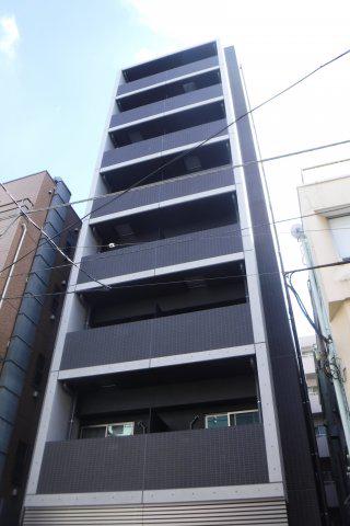 CHIEN VIVERRINシャンヴィヴラン