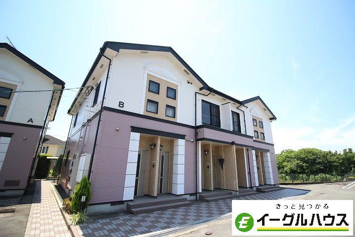 サンフラワーB