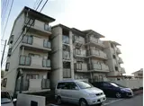 グランベア今井