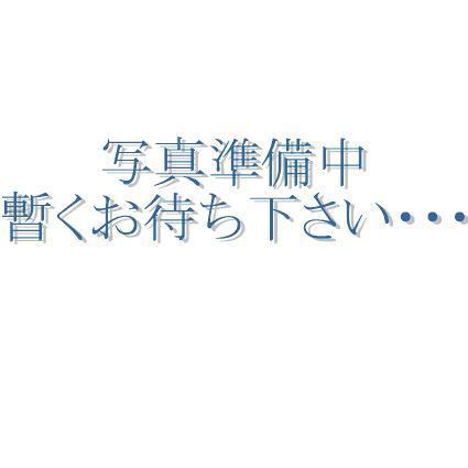 リバード北加瀬