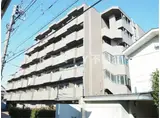 ルーブル上池台弐番館