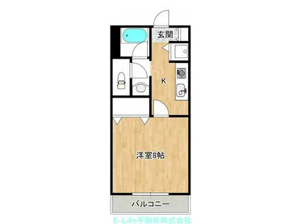 メゾンドソフィア月出(1K/1階)の間取り写真