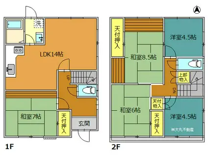 井上コーポ(5LDK/1階)の間取り写真
