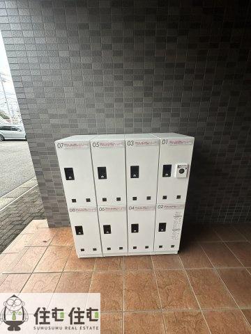 アンプルール フェール MS II