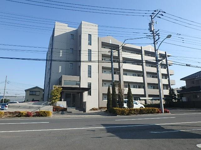 グレイスエリア