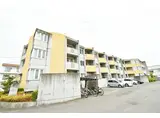 ポラリス島田