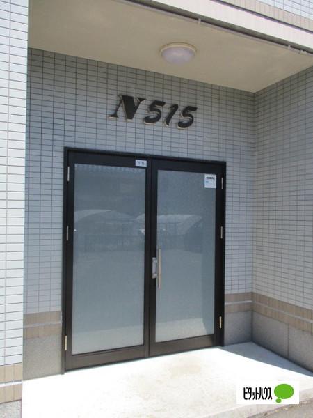 N515