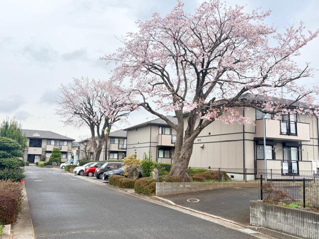 サンビレッジ葉山C
