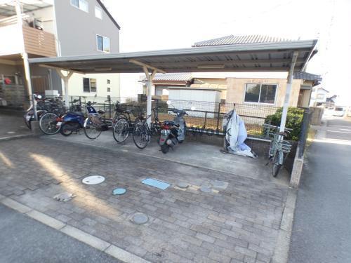 アンプルール リーブル SOLEADO