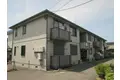 チェリーブロッサム