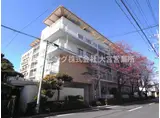 さくらヴィレッジ