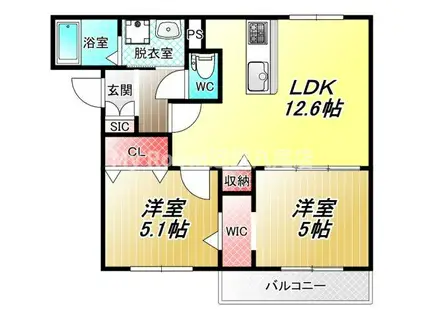 メゾンドサカエ III(2LDK/1階)の間取り写真
