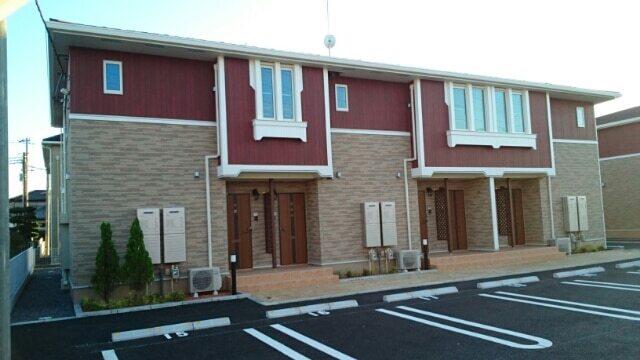 プラシード・NIV