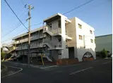 シェモア大熊