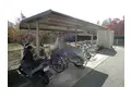 プラム・グローブ