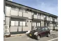 コート花水木