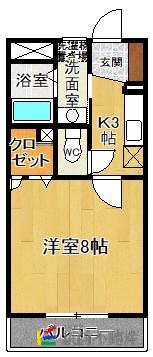 ルミエール(1K/5階)の間取り写真