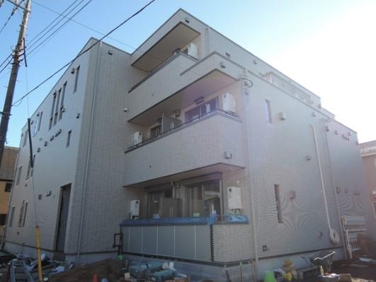 フィカーサ いちょうの木