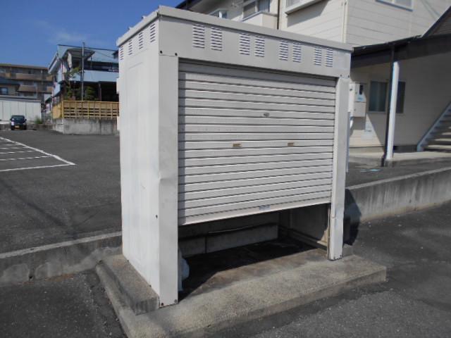 アプリコット