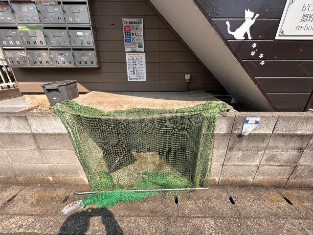 ビーカーサ淵野辺リボーン