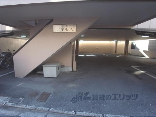 コーポアネモス