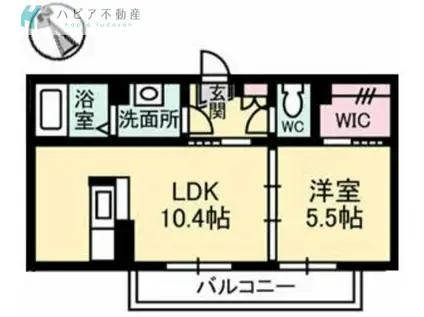 カサクレシアIV(1LDK/1階)の間取り写真