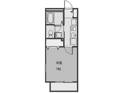ヴィサージュ(1K/1階)の間取り写真