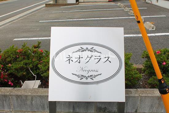 ネオグラス